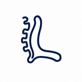 Spinal Alignment
